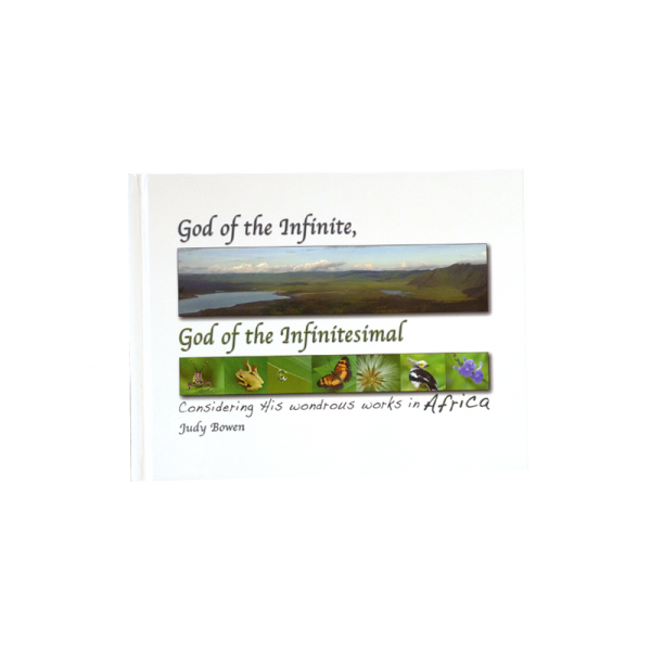 God of the Infinite, God of the Infinitesimal